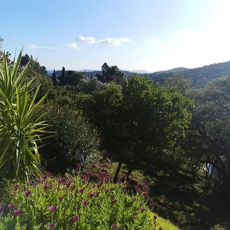 Proche De Sur 40 M² * Cavalaire-sur-Mer