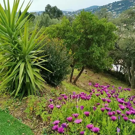 Proche De Sur 40 M² Apartment Cavalaire-sur-Mer